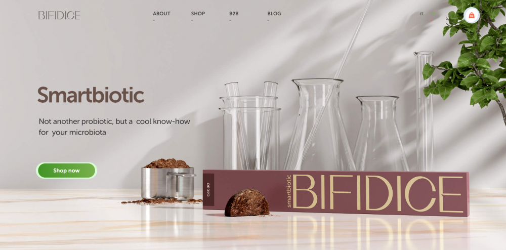 English version of the website